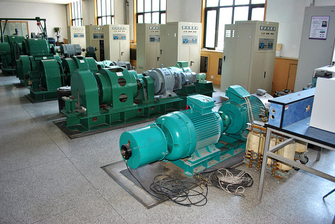 新建某热电厂使用我厂的YKK高压电机提供动力一年质保